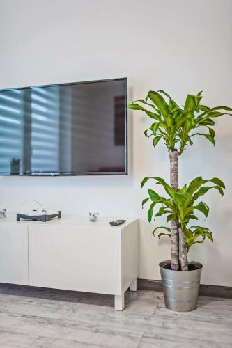Good Time Apartments Strzelecka B