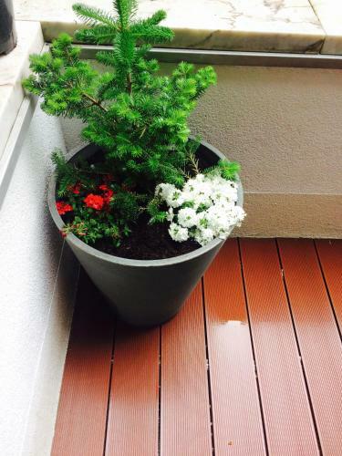 Piper Cytadela Apartament