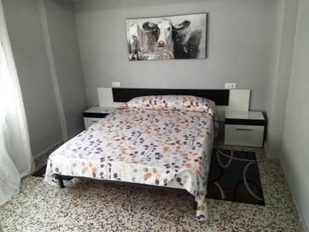 Apartamento Torrevieja Playa Cura