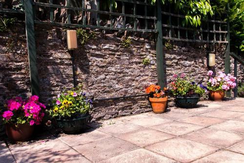Hostal Woodlands Guest House