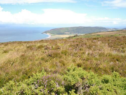 The Linhay