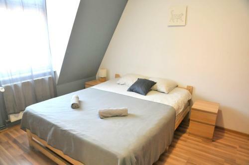 Economic Color Apartment