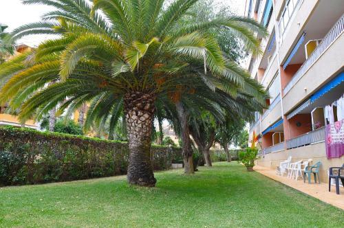Apartamento Punta Prima Sol Spain
