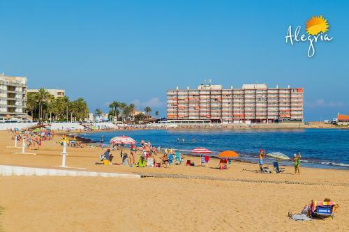 Apartamento Alegria Id 65