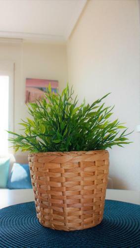 Apartamento Lazur