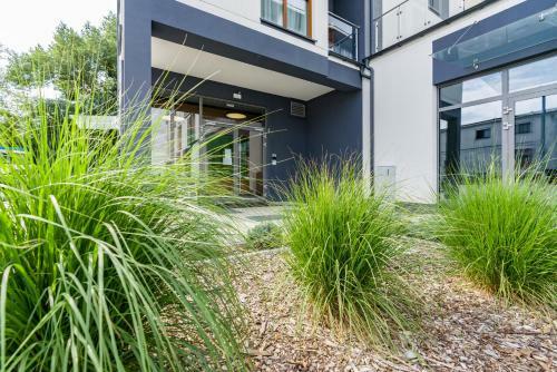 Warta Residence Apartments By Renters