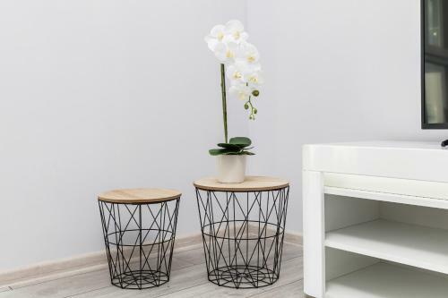 Warta Residence Apartments By Renters