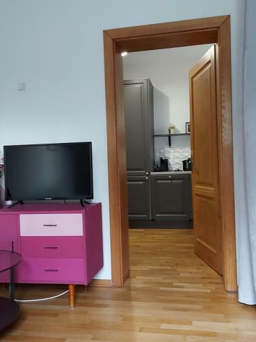 Arena Studio Apartment