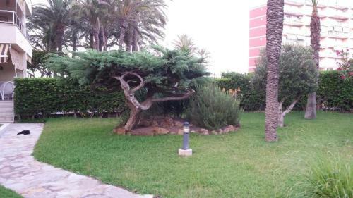 Apartamento Casa Del Buho
