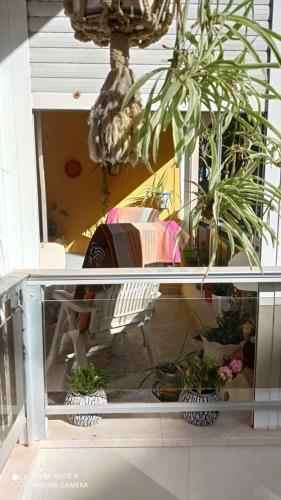 Apartamento Casa Del Buho