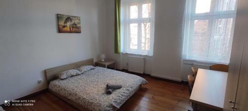 Lilia House Poznan