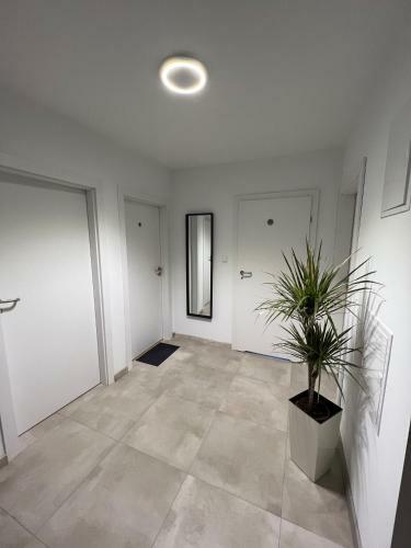 Abra Apartament