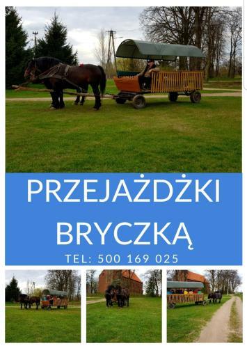 Apartament Wiejska Sielanka