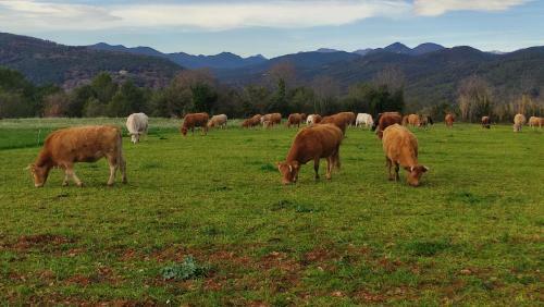 Agroturismo Mas Ca La Coixa
