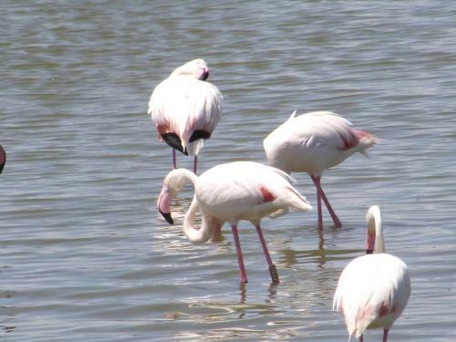 Agroturismo Casa Oriole