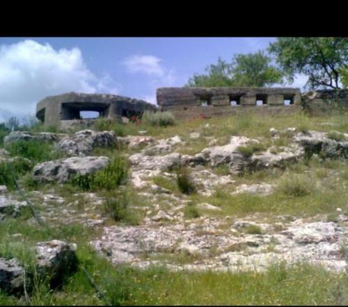 La Casita De T�zar