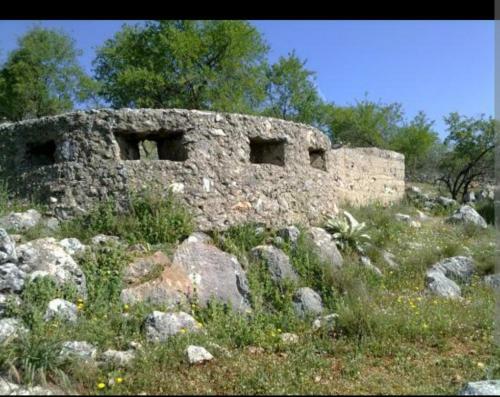 La Casita De T�zar