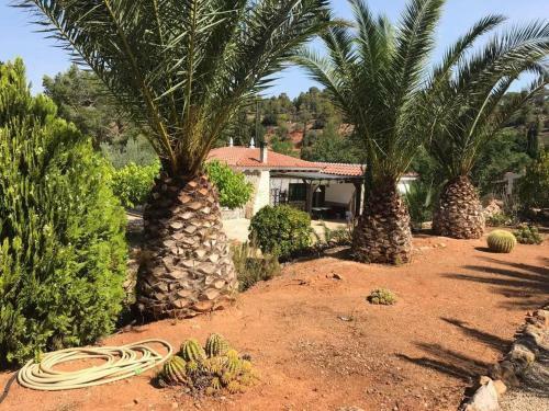 Finca En La Monta�a Con Piscina