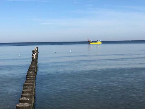 Apartament Bd Premium Klifowa