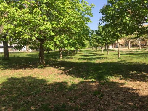 Apartamento El Teu Habitatge A Tremp 1