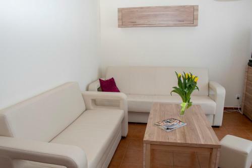 Apartament Z Balkonem I Parkingiem