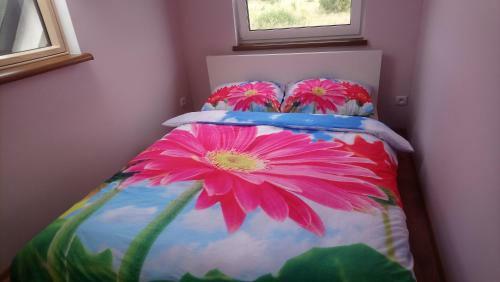 Villa Apartamenty U Beaty