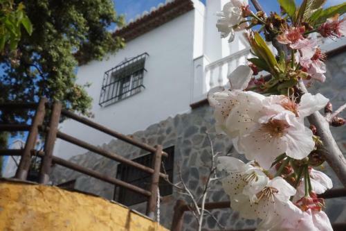 Villa Las Encinas Costa Del Sol