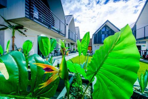 Temple Luxury Resort