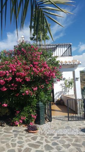 Casa Ana Frigiliana