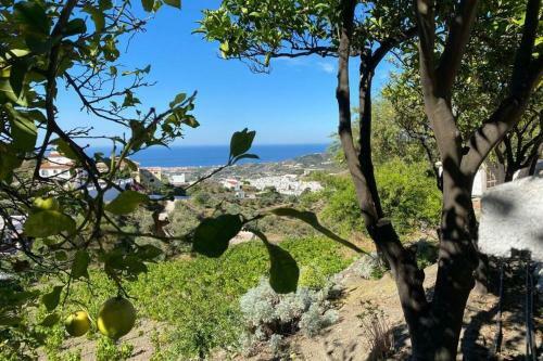 Villa La Higuera, Swimmingpool, Parking, Sea Views