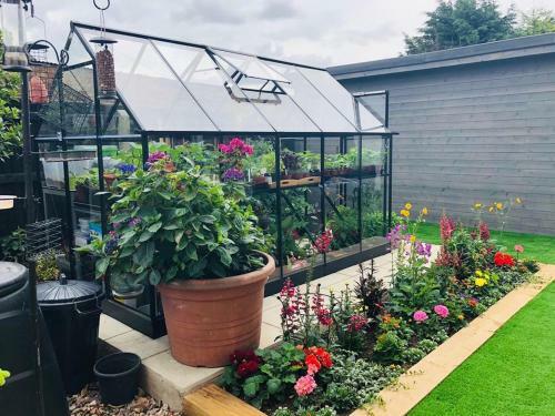Hostal Cloves Boutique Bed & Breakfast