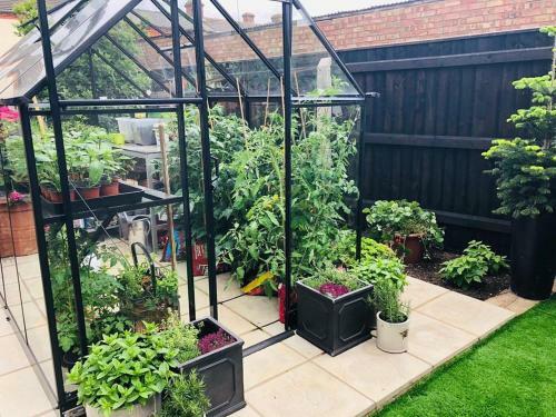 Hostal Cloves Boutique Bed & Breakfast