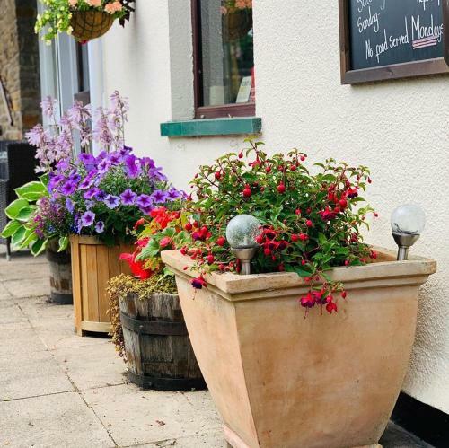 Hostal The Milton Hotel