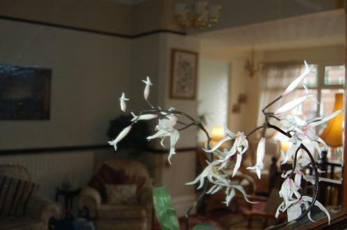 Bed & Breakfast The Hollingworth
