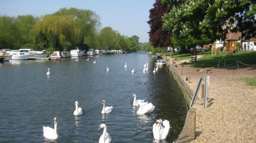 Yew Tree Guest House Bed &amp; Breakfast
