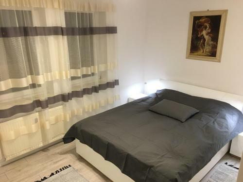 Apartamenty Zc Rzesz�w