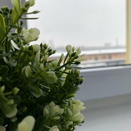 Hostal Kwadrat Apartamenty Grottgera