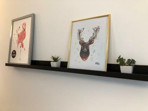 Hostal Kwadrat Apartamenty Grottgera