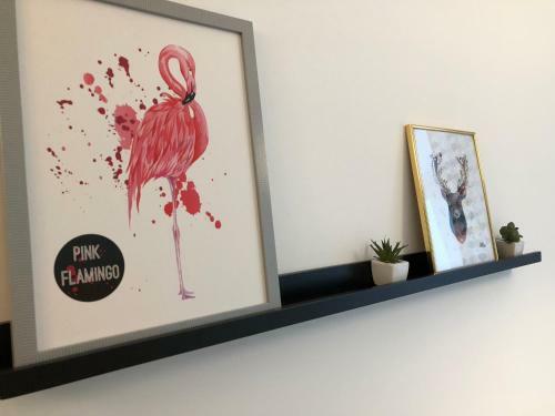 Hostal Kwadrat Apartamenty Grottgera