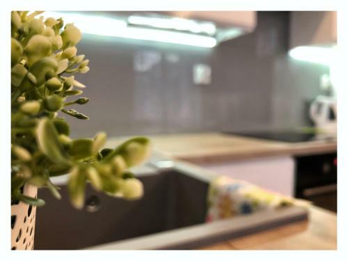 Apartament Przy Ratuszu