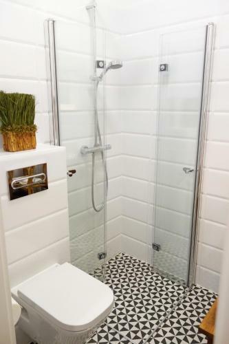 Apartament Skorpion Centrum