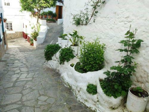 Apartamento Alvarado Loft Rural