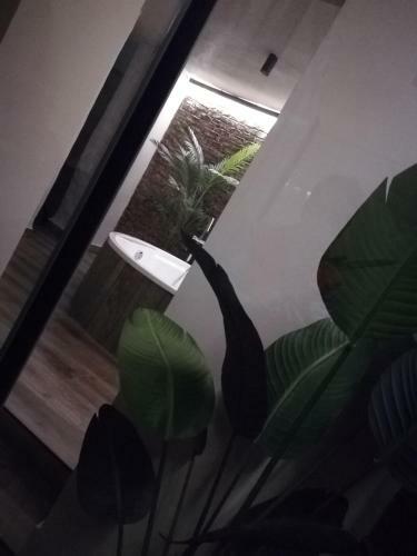 Apartamento Alvarado Loft Rural