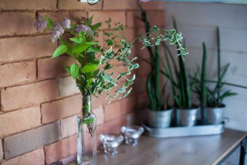 Lodge Lawendowo- Domki, Apartamenty, Sauna I Jacuzzi