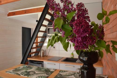 Lodge Lawendowo- Domki, Apartamenty, Sauna I Jacuzzi