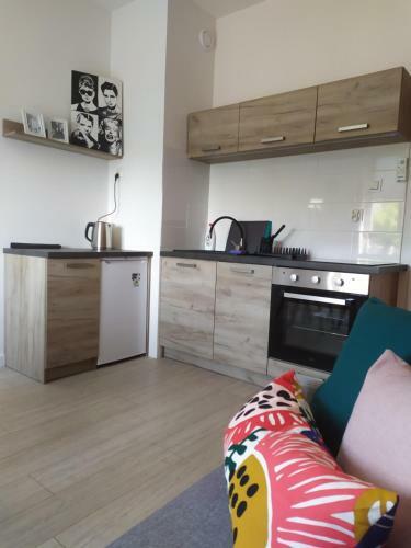 Lodge Lawendowo- Domki, Apartamenty, Sauna I Jacuzzi