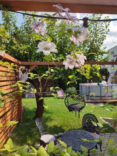 Lodge Lawendowo- Domki, Apartamenty, Sauna I Jacuzzi