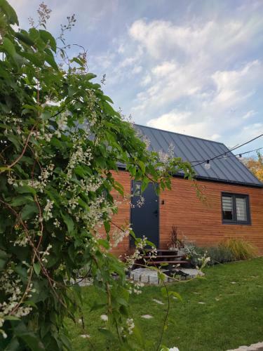 Lodge Lawendowo- Domki, Apartamenty, Sauna I Jacuzzi