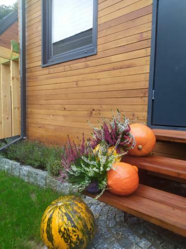 Lodge Lawendowo- Domki, Apartamenty, Sauna I Jacuzzi