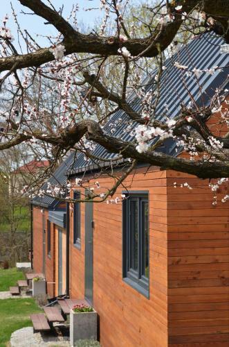 Lodge Lawendowo- Domki, Apartamenty, Sauna I Jacuzzi